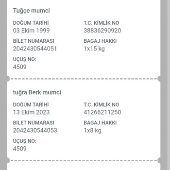 Bebek Bileti Sorunu Nedeniyle Uçuşun İptal Edilmesi Ve Yetersiz Destek