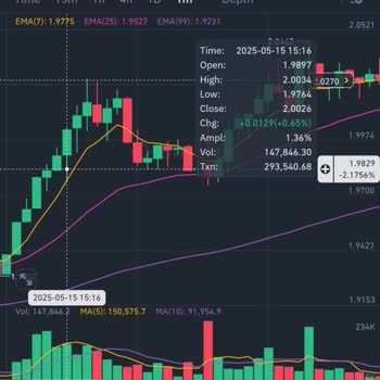 Satışa Sunulan Kripto Parada Fahiş Fiyat Nedeniyle Maddi Kayıp Yaşadım