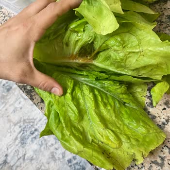 Çürük Ürün Ve İlgisiz Müşteri Hizmeti Hayal Kırıklığı