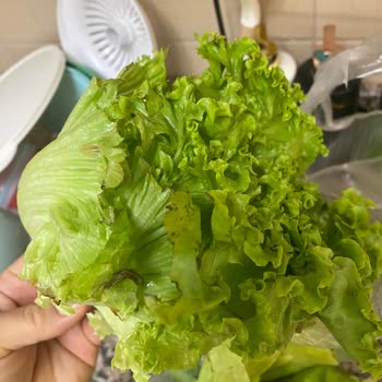 Çürük Ürün Ve İlgisiz Müşteri Hizmeti Hayal Kırıklığı