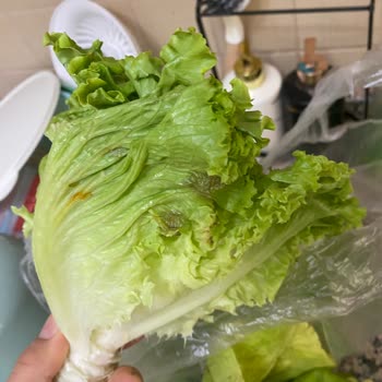 Çürük Ürün Ve İlgisiz Müşteri Hizmeti Hayal Kırıklığı