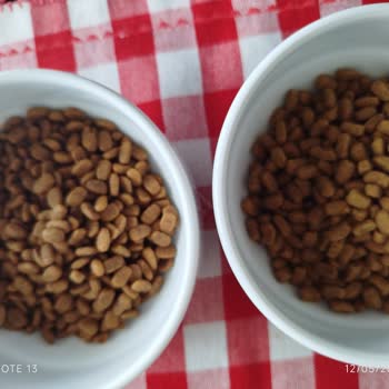 Aldığım Pro Plan Kedi Maması Orijinal Değilmiş