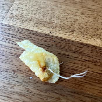 Lays Cipsin İçinden Plastik Çıkması Hayal Kırıklığı Yarattı