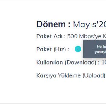 500 Mbps İnternet İçin Fahiş Fiyat, Yerlerde Hizmet!