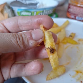 Dondurulmuş Patateste Böcek Benzeri Yabancı Madde Şikayeti