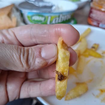 Dondurulmuş Patateste Böcek Benzeri Yabancı Madde Şikayeti