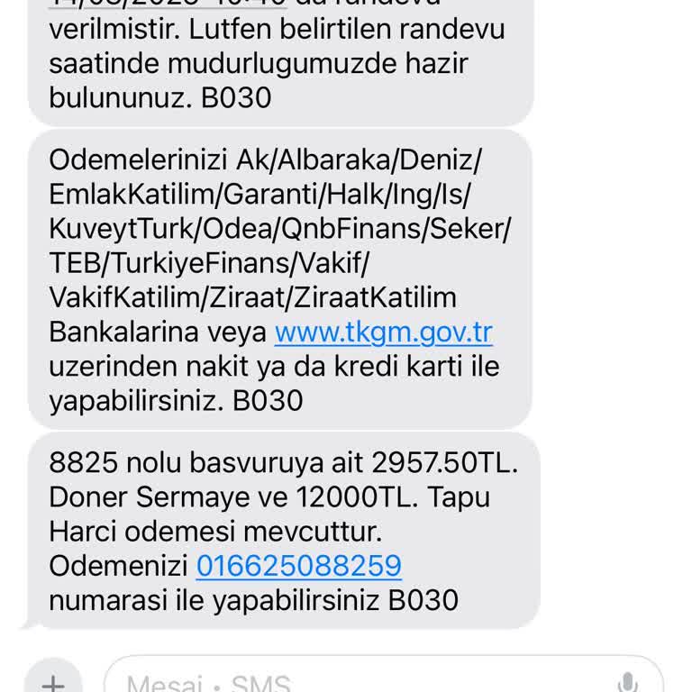Çiçek Sepeti Siparişim 13 Gündür Teslim Edilmedi Ve İptal Edilmiyor!