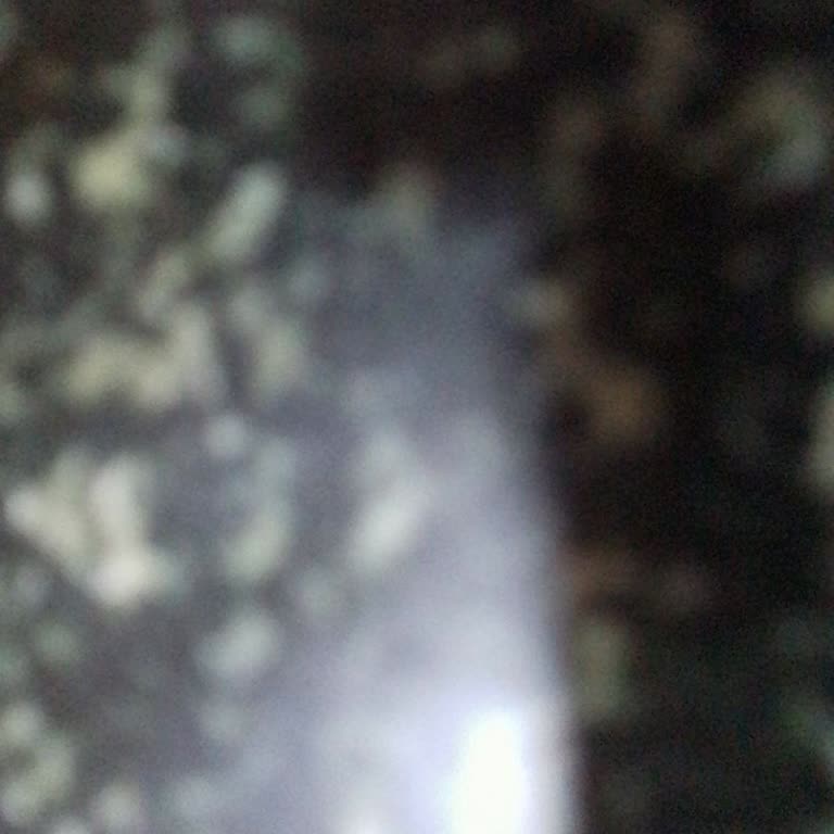 Reeder S19 Max Pro ve S23 Max Pro Modellerinde Ekran Sorunu ve Müşteri Hizmetlerine Ulaşamama