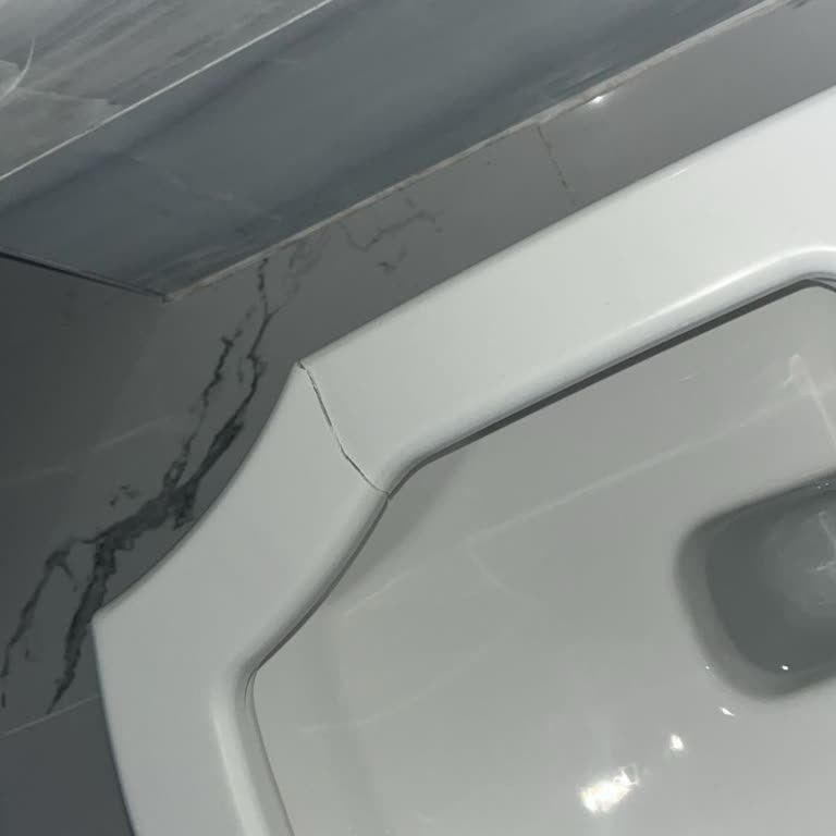 Klozet Kapağına Ulaşamama Ve Destek Alamama Sorunu