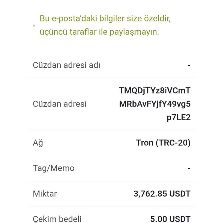 Hesap Güvenliğim Tehlikede Bilgilerim Nasıl Paylaşıldı