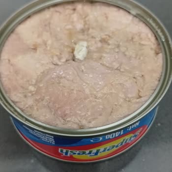 Superfresh Ton Balığında Taş Sürprizi Şok Etti