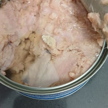 Superfresh Ton Balığında Taş Sürprizi Şok Etti