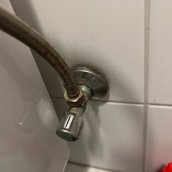 I Was Threatened and Forced Out of a Dirty Airbnb in Brussels Without Any Support