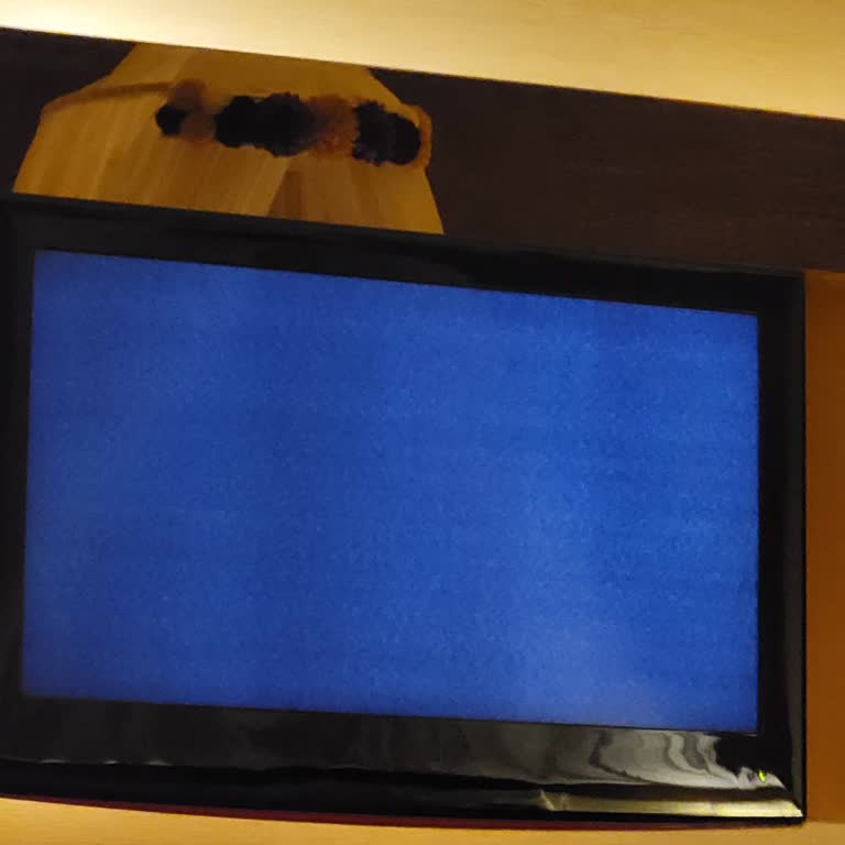 Ultra Her Şey Dahil Otelde Ütü Ve TV Sorunları