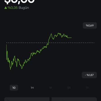Papara Hesabımdaki Dolar Bakiyemi Çekemiyorum