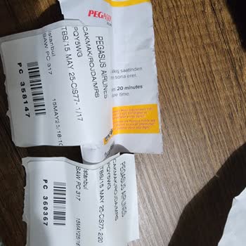 Pegasus Uçuşunda Bagaj Mağduriyeti Ve İlgisiz Personel Yaklaşımı