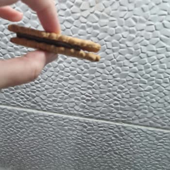 Kreması Eksik Ve Kırık Gelen Bisküviler Hayal Kırıklığı Yarattı