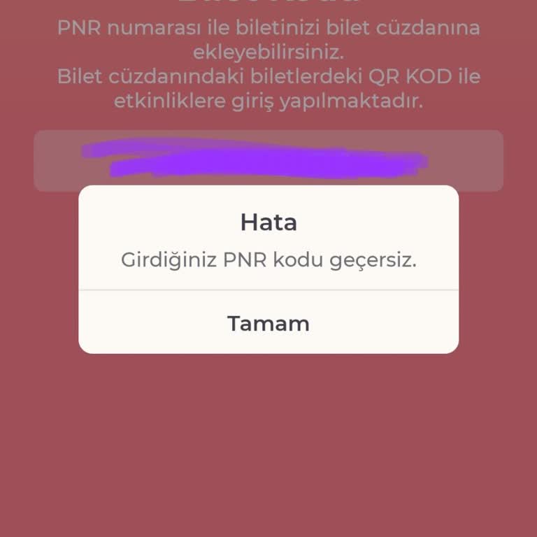 Satın Aldığım Biletin PNR Kodu Geçersiz, Destek Alamıyorum