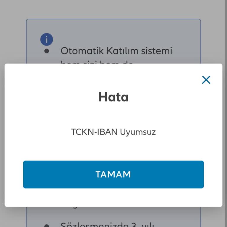 BES İptali Ve Birikim Paramı Çekemiyorum, Sürekli IBAN Uyumsuz Hatası Alıyorum