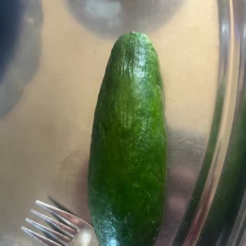 Arızalı Buzdolabı İçin Değişim Talebim Karşılanmıyor