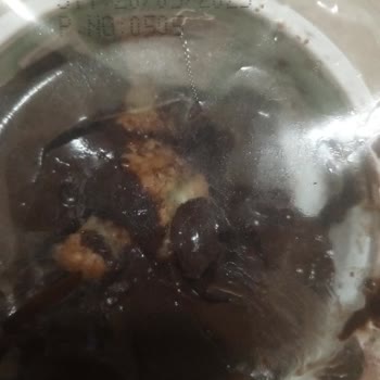 Son Kullanma Tarihi Geçmemiş Ürünün Bozuk Çıkması Ve Sağlık Sorunu Yaşanması