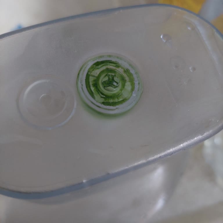 Brita Marella XL Sürahide Temizlik Sorunu Ve Yeşillenme Şikayeti