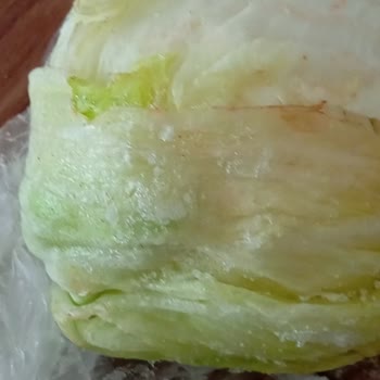 Bosch Buzdolabı Sebze Ve Meyveleri Donduruyor, Çözüm Bulunamıyor