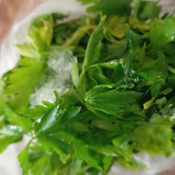 Bosch Buzdolabı Sebze Ve Meyveleri Donduruyor, Çözüm Bulunamıyor