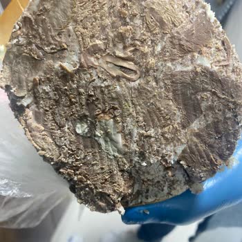 Aldığım Kavurmada Sakatat Çıktı, Faturasız Satış Yapıldı, Ücret İadesi İstiyorum