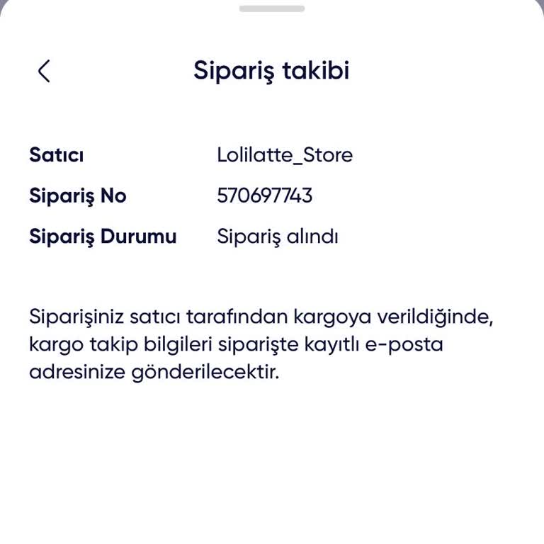 Teslimat Süresi Aşıldı, Ürün Hala Gümrükte Ve Para İadesi Talebi
