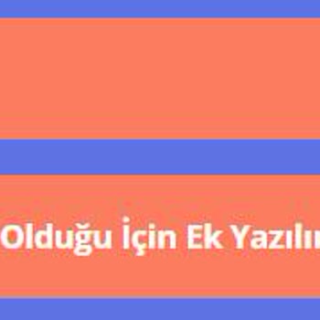 Aslan Güvenlik Yazılım Çalışmayan Program İçin Para İstiyor