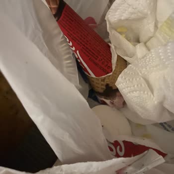 Cornetto Carrefour Şubesinden Alınan Bozuk Dondurma Ve Bayat Külah Sorunu