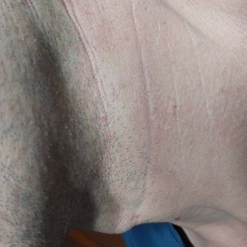 Celenes By Sweden Sözde Güvenilir