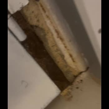 Kiraladığımız Villa Beklentilerimizin Çok Altındaydı, Tatilimiz Mahvoldu