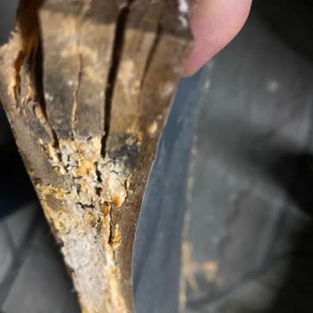 Samsung Bulaşık Makinesinde Sürekli Arıza Ve Yetersiz Destek