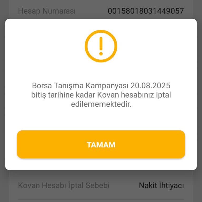 Kovan Hesabı Otomatik Para Aktarımı Ve İptal Sorunu