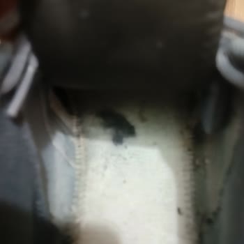 Kalenji Ayakkabıda Küf Ve Mantar Sorunu: Sağlığımı Tehdit Etti