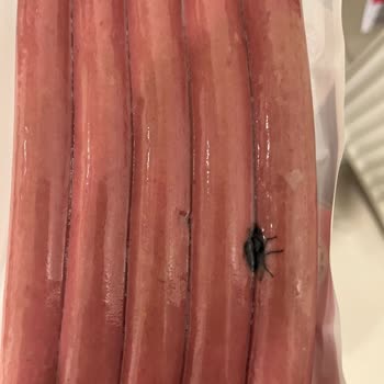 Namet Dana Sosis Paketinde Sinek Şoku