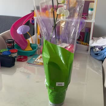 İptal Edilen Çiçeğin İadesi Yapılmadı, Gönderilen Çiçek Beklentileri Karşılamadı