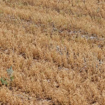 Eksper Ataması Gecikiyor, Ürünlerim Risk Altında