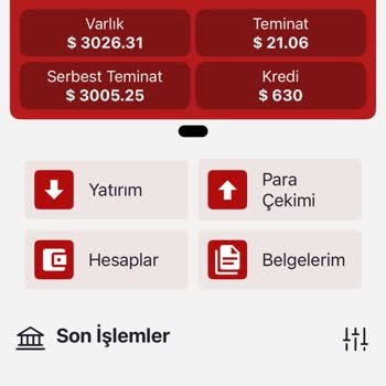 Yatırım Yaptığım Kuruluşa Ulaşamıyorum, Engellendim