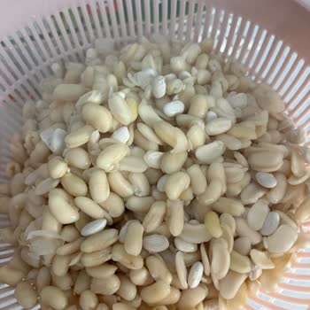 Duru Kuru Fasulyede Haşlama Sonrası Kabuk Problemi Ve Kırık Taneler