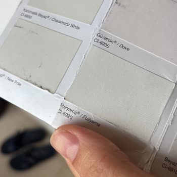 Polisan Fujiyama Rengi Beyaz Değil, Toz Pembe Çıktı