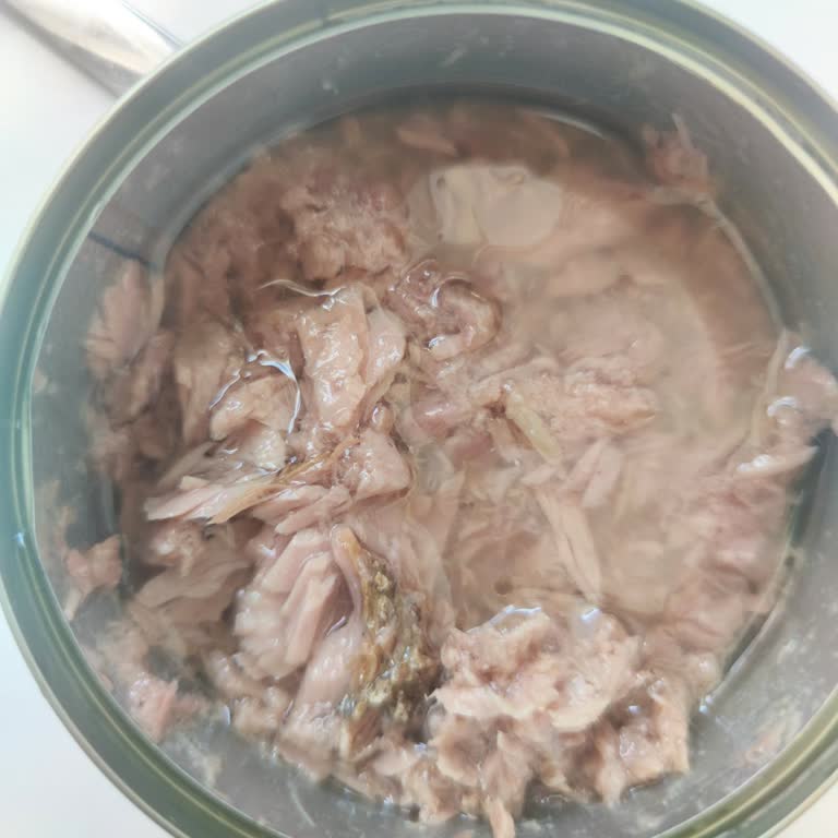 Aldığım Ton Balığının Küflü Çıkması Ve Yaşadığım Sağlık Sorunu