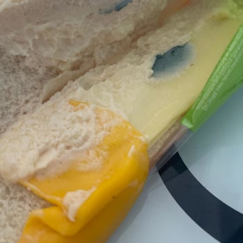 Küflü Dardanel Sandviç İle Karşılaştım