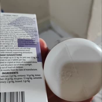 X Royal Petshop Para İçin Her Şeyi Yapar Oldunuz