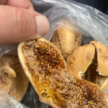 Kuru İncirden Kurt Ve Güve Çıktı, Hayal Kırıklığına Uğradım