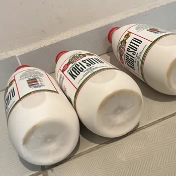 Tazemasa Bozuk Sütler Ve Yetersiz Müşteri Hizmeti Deneyimi