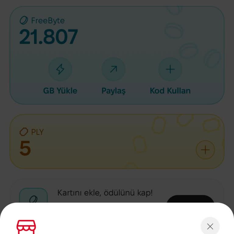 1GB Uygulamasında Sürekli İnternet Alım Sorunu Ve Yanıtsız Destek