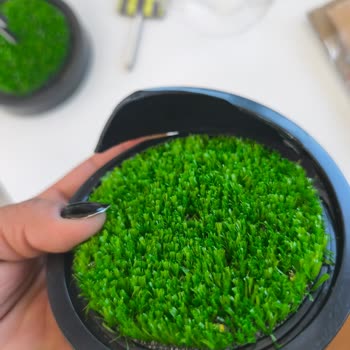 Sipariş Ettiğim Ürünler Kırık Dökük Geldi Müşteri Hizmetleri Cevap Vermiyor